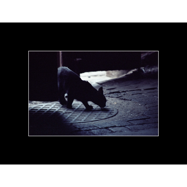 08_hinterhof01_img077